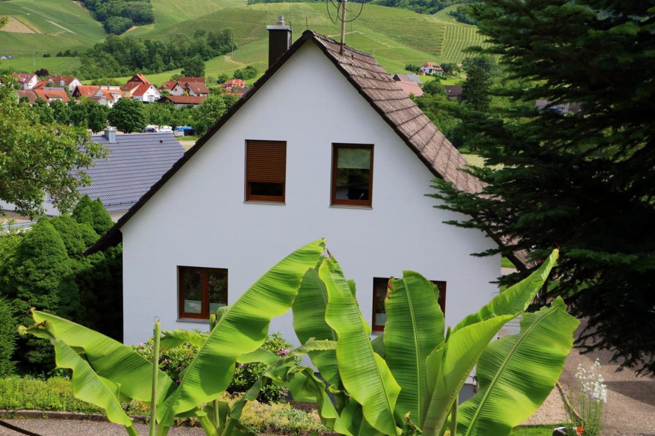 Ferienwohnungen Schneider Durbach Exteriér fotografie